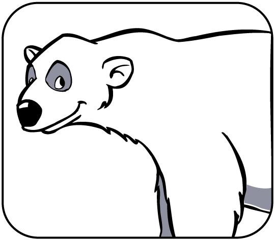 EISBAER DER